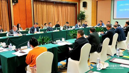 攜手云陽，數(shù)據(jù)賦能 重慶科技服務(wù)大市場助力大數(shù)據(jù)產(chǎn)業(yè)招商新篇章